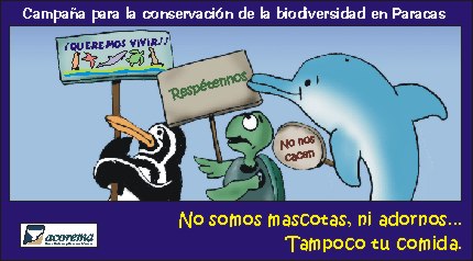 Campaña para la Conservación de Especies Amenazadas Delfines en el Area de Pisco Paracas