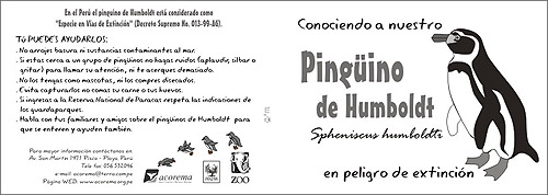 sobre pingüino de humboldt