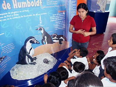 Escolares en el Centro de interpretación de ACOREMA