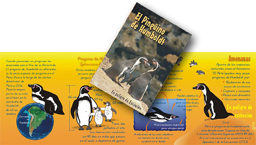 Folleto sobre pingüino de humboldt