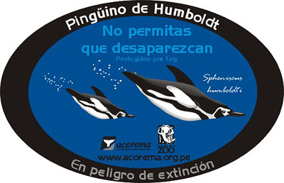 Sticker pingüino