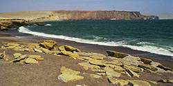 Paracas