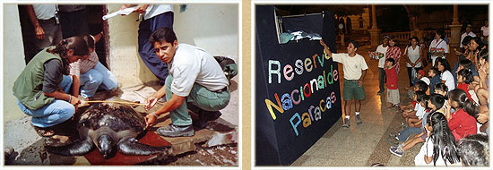 support for the Paracas National Reserve