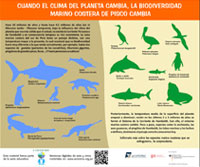 El clima y el cambio en la diversidad marino costera de Pisco