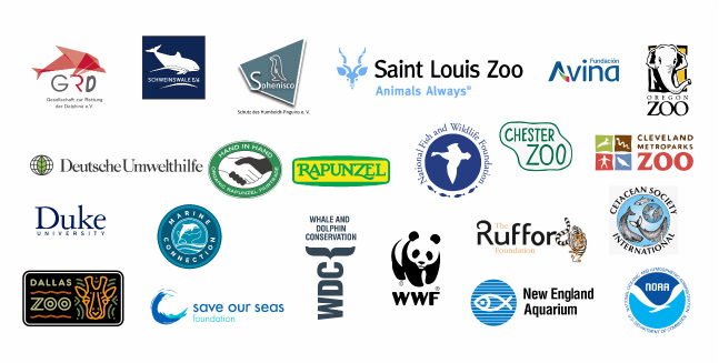  WWF - Perú / CSI / Marine Connection / AVINA / Oregon Zoo / Saint Louis Zoo / Cleveland Zoo / Dallas zoo/ Rufford Small Grants / GRD / Rapunzel / Hand to Hand / WDC / New England Aquarium / Save our seas / Chester Zoo / NOAA / Sphenisco