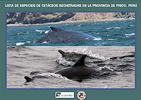Lista de especies de cetáceos de Pisco