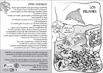 Los delfines, cetáceos