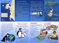 El pingüino de humboldt en peligro de extinción - Oregon zoo