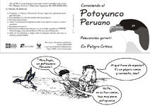El Potoyunco peruano, pelecanoides garnotii para pescadores