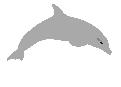 presentaci�n
