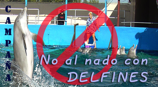 Delfines Libres - Campaña para poner fin a los espectáculos itinerantes o circos con delfines en Perú