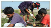 wetland monitoring