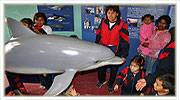 Centro de interpretación - Área cetáceos